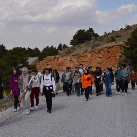 Kestel ormanı çevre temizliği